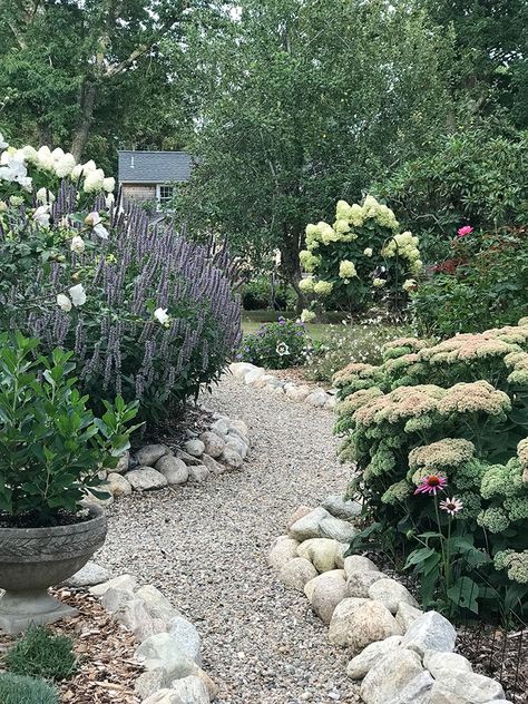 The Accidental Gardener | Cape Cod LIFE Cape Cod Landscaping Front Yards, Stoop Ideas, Cape Cod Landscaping, Rock Border, Front Stoop, Blue Cape, Cape Cod Style, Cape Cod House, Home Garden Design