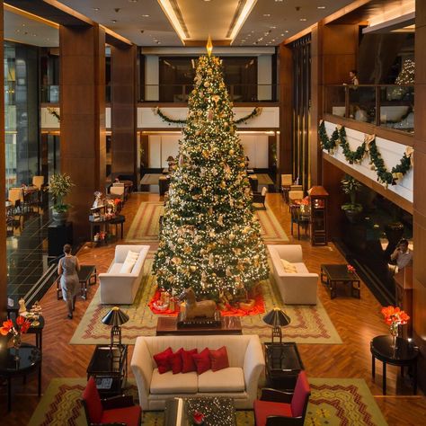 JW Marriott Hotel Bangkok on Instagram: “Merry Christmas🎄❄️☃️🎅🎁 #jwmarriottbkk #jwmarriott #marriott #christmas #ChristmasPosts #christmastree #ChristmasSpirit #ChristmasFun…” Christmas Hotel Lobby, Christmas Hotel, Hotel Christmas, Bangkok Hotel, Marriott Hotel, Jw Marriott, December 24th, Marriott Hotels, Hotel Lobby