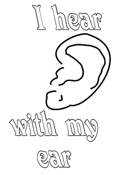 I Hear With My Ear Coloring Pages : Kids Play Color Ear Coloring Page, Ears Picture, Ear Picture, Pages To Color, Summer Coloring Pages, Preschool Literacy, Gum Drops, Cuddly Animals, Flower Printable