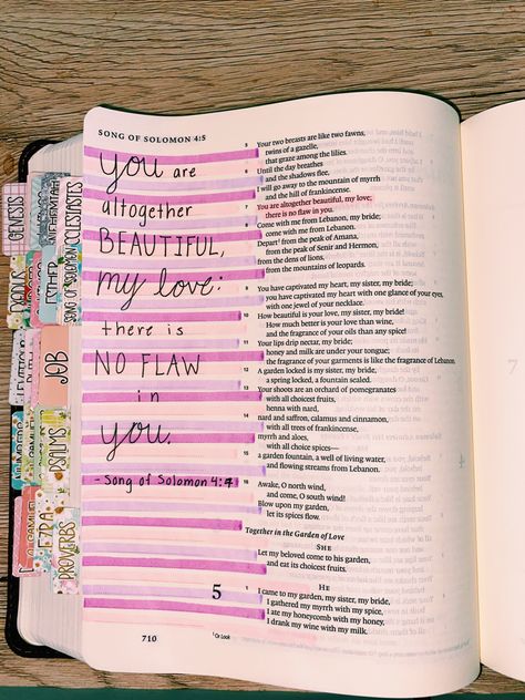 Bible Wrecking, Song Of Solomon 4 7, Solomon 4 7, Positive Bible Verses, Bible Sketches, Bible Drawings, Bible Doodles, Song Of Songs, Inspire Bible