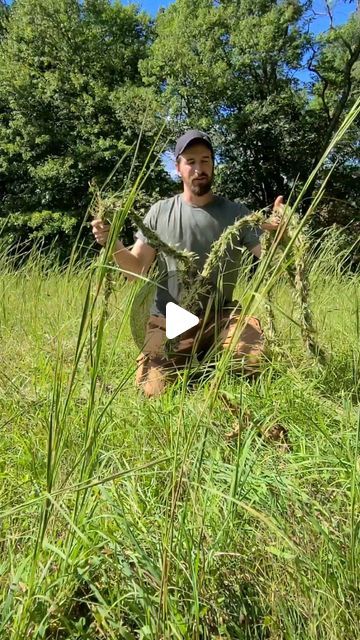 John on Instagram: "Survival- Make Rope out of Grass #survival #bushcraft #outdoors #wildernesssurvival #survivalhacks" Bushcraft Camp, Power Carving Tools, Tshirt Printing Business, Survival Videos, Shtf Survival, Forest Camping, Primitive Technology, Primitive Survival, Doomsday Prepping