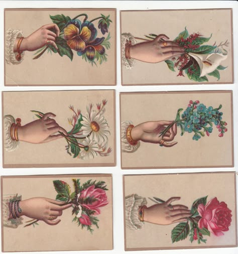 Victorian Style Tattoos, Drawn Hands, Hand Holding Card, Victorian Tattoo, Hands Holding Flowers, Hands Tattoo, Vintage Tattoo Design, Hand Flowers, Traditional Tattoo Art