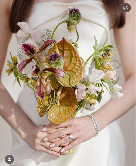 Anthurium Bouquet, Modern Bridal Bouquets, Unique Bridal Bouquets, Modern Bouquet, Lady Slipper Orchid, Lady Slipper, Flower Arrangement Designs, Orchid Bouquet, Unique Bouquet