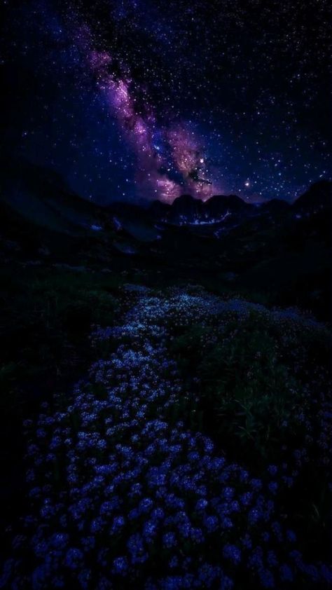 Dark Elven Aesthetic, Night Fantasy Aesthetic, Baileycore Aesthetic, Astrophile Aesthetic, Galaxia Aesthetic, Night Sky Wallpaper Aesthetic, Wallpaper Backgrounds Dark Beautiful, Nighttime Wallpaper, Night Sky Photography