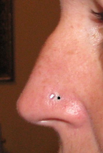 Nostril Piercing Placement, Nose Ring Placement, Nose Piercing Stud Placement, Nostril Piercing Ring, Nose Piercing Placement, Nose Piercing Nostril, Piercing Placement, Double Nostril Piercing, Piercing Nostril