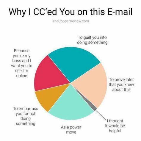 Why I Cc'd you on that email Work Related Memes, Hating Your Job, Monday Memes, 9gag Funny, Office Memes, Funny Animal Quotes, Dump A Day, Work Memes, Funny As Hell