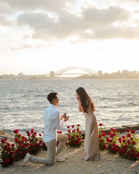 Proposal Pictures, Engagement Congratulations, Event Photographer, Australia Travel, Creative Studio, Golden Hour, All The Way, The Beginning, Wedding Events