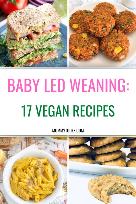 Vegan Baby Led Weaning Recipes - 17 Delicious Ideas | Mummy to Dex Vegan Baby Led Weaning, Led Weaning Recipes, Baby Led Weaning Breakfast, Baby Lunch, Weaning Foods, Baby Dinner, Easy Baby Food Recipes, Vegan Kids Recipes, Baby Led Weaning Recipes