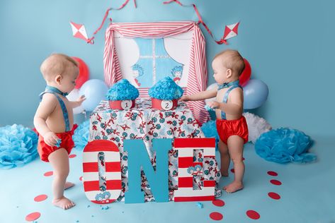 Thing One And Thing Two Twin Birthday, First Birthday Photo Shoot Ideas Twins, Dr Seuss Photo Shoot, First Birthday Twin Boys, Twin Boy First Birthday Ideas, Twin 1st Birthday Ideas, Twin Boys First Birthday Party Ideas, Twins 1st Birthday Ideas, Twin First Birthday Ideas