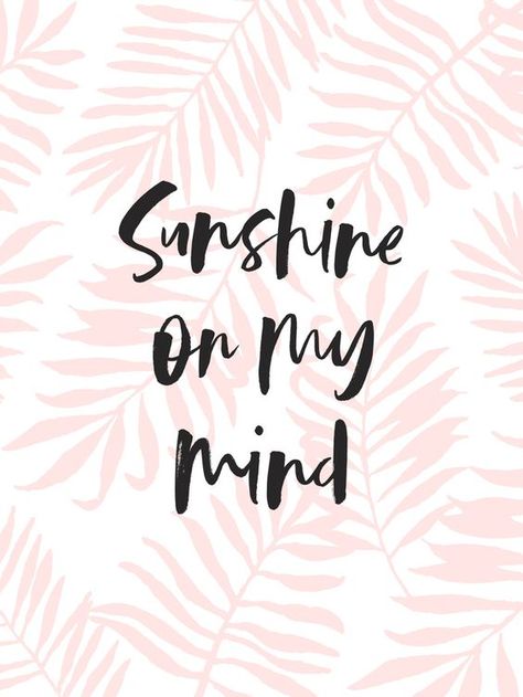 ☀sunshine pin the outside and sunshine on the inside 😊☀️ | Lifestyle Edit MDW Summertime Quotes, Pink Palm Leaves, Palm Leaf Art, Sunshine On My Mind, Leaves Art, Summer Quotes, Beach Quotes, Leaf Art, On My Mind