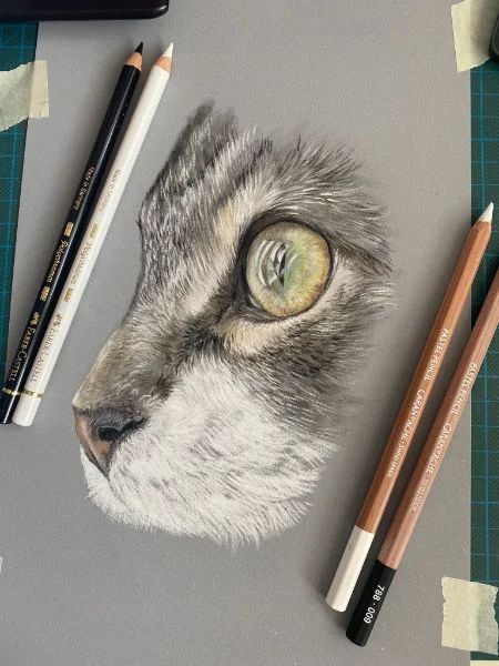 Mixed media using Caran d'Ache pastel pencils and Faber-Castell Polychromos coloured pencils Pastel Pencils Art, Pastel Pencil Art Tutorials, Realism Sketch, Pencil Crayon Art, Pastel Pencil Drawing, Pan Pastels Art, Colored Pencil Illustration, Coloured Pencil Art, Pan Pastels