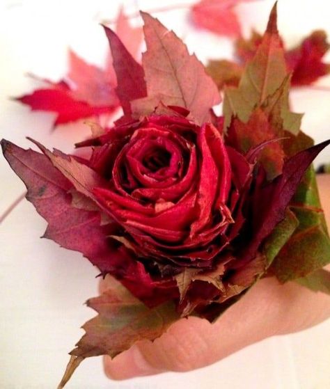 Watch Sisters Know Best's video to make your own bouquet of roses. Easy and fast project that gives fantastic results! We share how to preserve your roses as well. Make a memory of your special fall place! #SistersKnowBest #LeafRose #FallLeafRose Bouquet Tips, Leaf Roses, Make Your Own Bouquet, Leaf Projects, Fall Decor Diy Crafts, How To Make Rose, Diy Leaves, Autumn Rose, Easy Fall Crafts