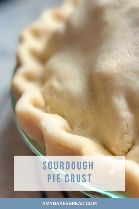 This pie crust is perfect for a sweet or savory pie. You'll love how flaky and delicious it is. Try it today! Sourdough Apple Pie, Discard Pie Crust, Thanksgiving Pie Crust, Sourdough Pie Crust Recipe, Sourdough Pie Crust, Pie And Chips, Savory Pie Crust, Sourdough Apple, Flaky Pie Crust Recipe