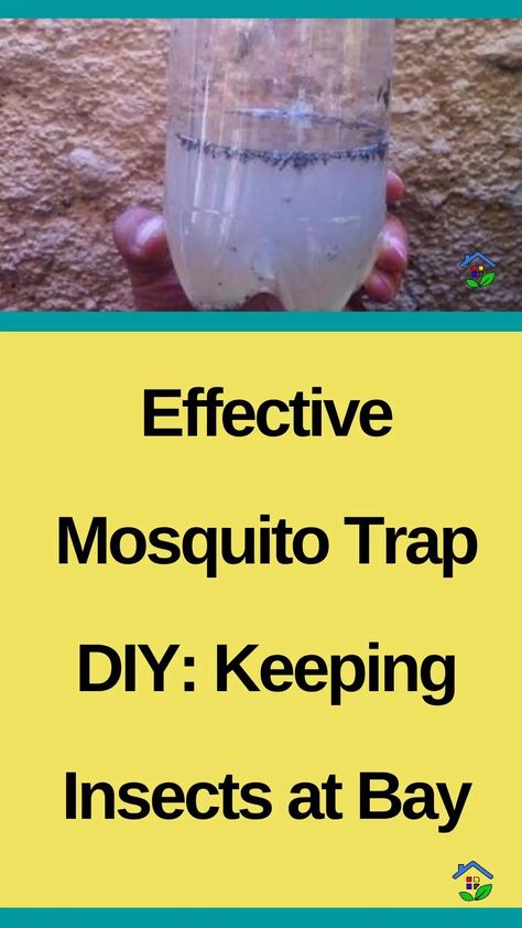 Keep mosquitoes at bay with simple and effective DIY traps. No harmful chemicals are needed. Mosquitoes can be a real nuisance sometimes, disrupting activities and even affecting sleep. To effectively deal with these irritating insects, we recommend the simplest trap of all that will help you get rid of them and enjoy your time without […] How To Get Rid Of Misquotes, Home Made Mosquito Repellent, Flies Trap Diy, Mosquito Trap Diy, Diy Fly Trap, Mosquitoes Remedies, Mosquito Repellent Homemade, Mosquito Traps, Diy Mosquito Repellent