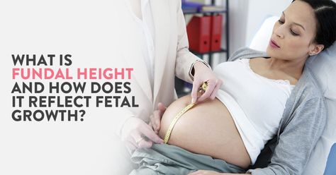 According to the WHO, fundal height is a commonly practiced method of foetal growth assessment. The measurement is defined as the distance in cm from your pubic bone to the top of your uterus. It is helpful in determining if the baby is small for its gestational age. Fundal Height, Kegels For Pregnancy, Spotting During Pregnancy, Safe Medications During Pregnancy, First Trimester Supplements, Very Early Pregnancy Symptoms, Gestational Age, Baby Growth, Assessment