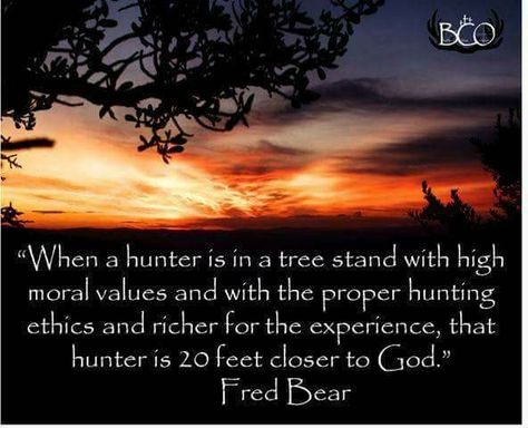 Huntress Quotes, Fred Bear, Bear Quotes, Hunting Signs, Hunting Quotes, Bow Hunter, Bear Quote, Hunting Art, Hunting Girls