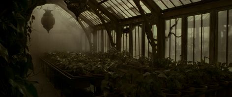 Greenhouse Three | Harry Potter Wiki | FANDOM powered by Wikia Hogwarts Greenhouse, Harry Potter Half Blood Prince, Hogwarts Classes, Harry Potter Wiki, Harry Potter Set, Potter Head, Hogwarts Aesthetic, Hogwarts Castle, Ineffable Husbands