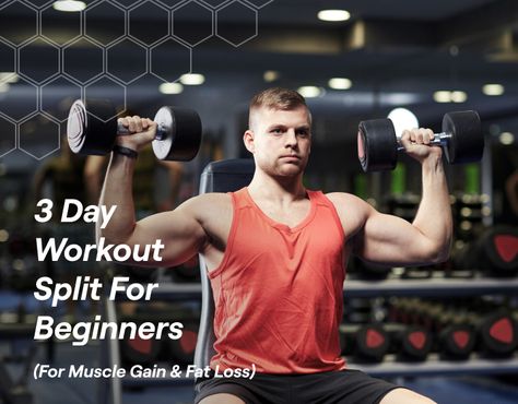 Three-day workout splits are ideal for beginners because they offer an adequate amount of training to help you build muscle and get stronger while giving you Split For Beginners, 3 Day Workout Split, 3 Day Workout, Workout Split, Dumbbell Shoulder Press, Bodybuilding Program, Push Day, Workout Splits, Muscle Gain