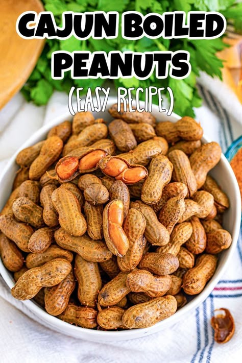 Bowl filled with flavored peanuts. Slow Cooker Cajun Boiled Peanuts Recipe, Boil Peanuts Recipe Crockpot, Boiled Peanuts Crockpot Cajun, Cajun Boiled Peanuts Recipe Stovetop, Green Peanuts Recipes, Cajun Peanuts Recipe, Boiling Peanuts Recipe, Boiled Peanuts Cajun, Spicy Boiled Peanuts Recipe Crockpot