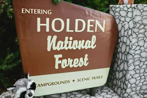 Vintage National Park/Camping Themed 3rd Birthday "Holden National Park" | CatchMyParty.com Diy National Park Sign, Forest Birthday Party, Camping Photo, Backyard Adventure, Smokey The Bears, National Park Camping, Camping Theme Classroom, Forest Birthday, Camping Theme Party