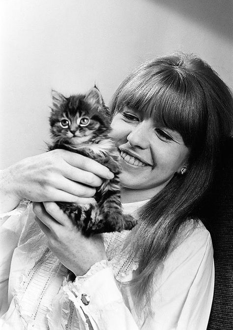 Celebrities With Cats, Patricia Highsmith, Jane Asher, Old Portraits, Tabby Kitten, Adorable Kitten, Cat Boarding, Cat People, Cat Person