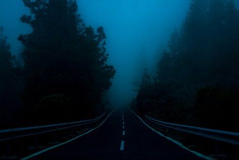 Everything Is Blue, Forest Photos, Blue Hour, Grunge Photography, Dark Photography, Blue Aesthetic, Dark Aesthetic, Interesting Art, Northern Lights