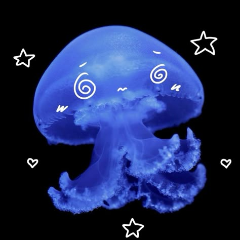 Pinterest Icon Aesthetic, Jellyfish Pictures, Cute Jellyfish, Pinterest Icon, Fish Icon, Blue Jellyfish, Jellyfish Art, Beautiful Sea Creatures, Jelly Fish