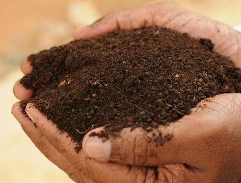 Are you about starting a organic fertilizer production business ? If YES, here is a complete sample organic fertilizer production business plan template & feasibility report you can use for FREE. Okay, so we have considered all the requirements for starting... Compost Turner, Neem Powder, Organic Cake, Garden Remedies, Neem Oil, Spices And Seasonings, Organic Fertilizer, Organic Herbs, Plan Template