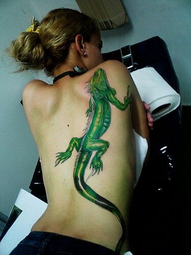 Girl with Iguana tattoo Iguana Tattoo, Poker Tattoo, Lizard Tattoo, Poseidon Tattoo, Tattoo Off, Tattoo Meanings, Wicked Tattoos, Raven Tattoo, Tattoo Desings