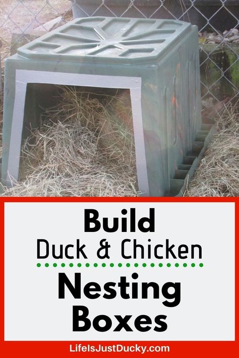 How to make nesting boxes for your chickens or ducks. Easy to make and the results are cleaner eggs and happy ducks. Easy DIY nest boxes. Diy Nest, Duck House Plans, Chickens And Ducks, Nest Boxes, Raising Ducks, Duck And Ducklings, Chicken Nesting Boxes, Chicken Life, Homestead Farm