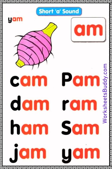 Build Literacy Skills with AM Word Family Worksheets Am Word Family, Am Words, Family Worksheets, Family Word, Reading Comprehension For Kids, Phonics For Kids, Cvc Words Kindergarten, Kindergarten Phonics Worksheets, English Worksheets For Kindergarten