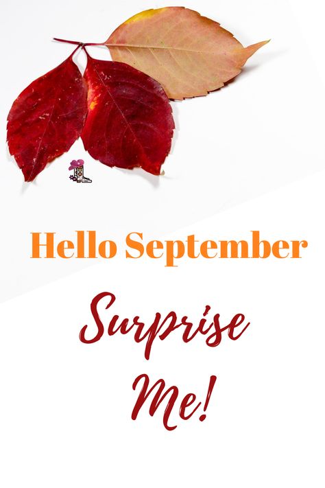 Yes, September surprise me, but only good surprises PLEASE!  I have had enough of those not so good surprises this year.   #September #SeptemberSurprises #FavoriteQuotes I Have Had Enough, Hello September, Surprise Me, Had Enough, Favorite Quotes, This Year, Quotes