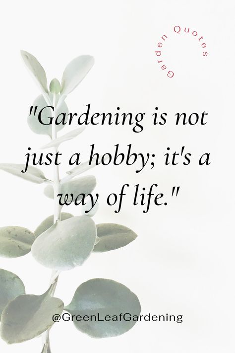 Garden Motivation Quotes for Life | Motivation Quotes for Success  

"Transform your life with inspiring garden motivation quotes! 🌱🌼 Find the motivation quotes for success and embrace positivity. Get inspired to achieve your goals and bloom like a garden. #MotivationQuotes #GardenInspiration #SuccessInLife Garden Quotes Inspirational, Motivation Quotes For Life, Gardening Quotes Inspirational, Life Motivation Quotes, Gardening Quotes, Quotes For Life, Quotes For Success, Garden Quotes, Quote Board