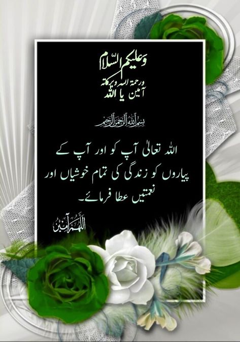 Walikum Salam Image Urdu, Walikum Salam Image, Walaikum Assalam Quotes, Walaikum Assalam Images, Walaikum Salam, Walaikum Assalam, Salam Image, Urdu Good Morning, Jummah Mubarak Messages