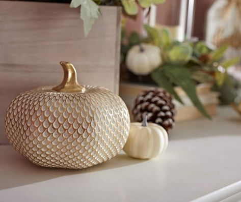 5" Gold Carved Resin Pumpkin | Big Lots Autumn Decorations Indoor, Thanksgiving Dec, Elegant Fall Decor, Resin Pumpkin, Modern Fall Decor, Dollar Tree Pumpkins, Gold Pumpkins, Autumn Display, Fall Thanksgiving Decor