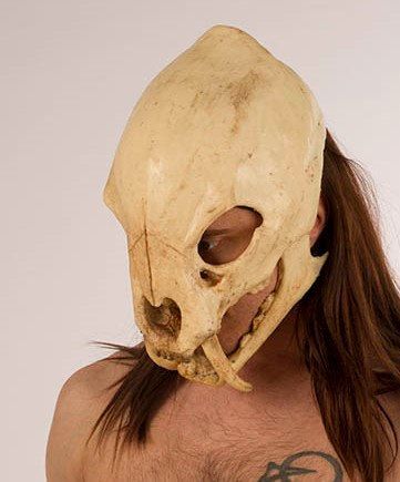 Bird Skull Mask, Saber Tooth Tiger Skull, Saber Tooth Tiger, Tiger Skull, Skull Helmet, Skull Model, Tiger Mask, Knights Of Ren, Cat Skull