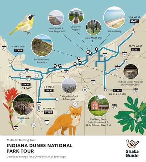 Indiana Dunes National Park Itinerary - Shaka Guide Indiana Dunes National Park, National Park Itinerary, Indiana Dunes, Fun Activities, Indiana, National Park, Ohio, Road Trip, National Parks