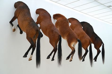 Maurizio Cattelan at Fondation Beyeler. Video coming soon. Johnson Tsang, Maurizio Cattelan, Wax Statue, Jenny Holzer, Art 2023, Antony Gormley, Cindy Sherman, Conceptual Artist, Performance Artist