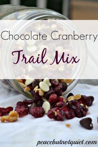 Chocolate Cranberry Trail Mix Recipe -- one of our faves for after-school snacks and hiking trips! Cranberry Trail Mix Recipe, Bbq Sloppy Joe Recipe, Easy Trail Mix Recipes, Healthy Trail Mix Recipes, Trail Mix Snack, Trail Mix Recipe, Fancy Foods, Trail Mix Recipes, Homemade Trail Mix