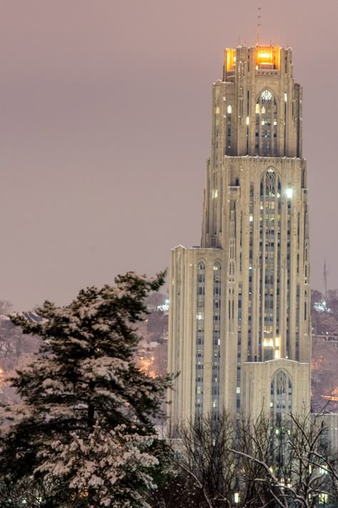 Dave DiCello's photo of Pitt's Cathedral of Learning and also where I had many classes!!!❤ Cathedral Of Learning, Pittsburg Pa, Steelers Country, Pittsburgh Pride, Pittsburgh Panthers, Allegheny County, Pittsburgh City, University Of Pittsburgh, Steel City