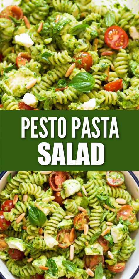 pasta salad tossed in pesto sauce in a salad bowl Pesto Salad Pasta, Pasta With Basil Pesto, Pesto Dinners, Pesto Pasta Salad Recipes, Pasta Pesto Salad, Sundried Tomato Pesto Pasta Salad, Pasta Salad Pesto, Pesto Pasta Salad Vegetarian, Pesto Pasta Salad With Sundried Tomatoes