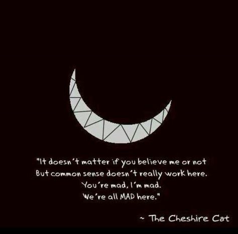 We're all mad here Cheshire Cat Quotes, Alice And Wonderland Quotes, Wonderland Quotes, It Doesn't Matter, Were All Mad Here, Believe Me, Lewis Carroll, Cat Quotes, Cheshire Cat