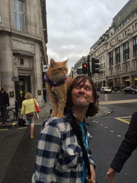 A Cat Named Bob, A Street Cat Named Bob, Street Cat Bob, Celebrities With Cats, Street Cat, Cat Stories, Natural Cat, Best Friends For Life, London Today