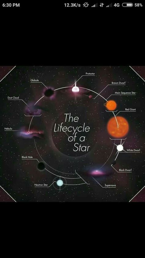 The life cycle of a star Formation Of Stars, Star Life Cycle Project, Life Cycle Of A Star Project Ideas, Earth Science Projects, Side Eyes, Astronomy Telescope, Star Science, Space Project, Space Astronomy