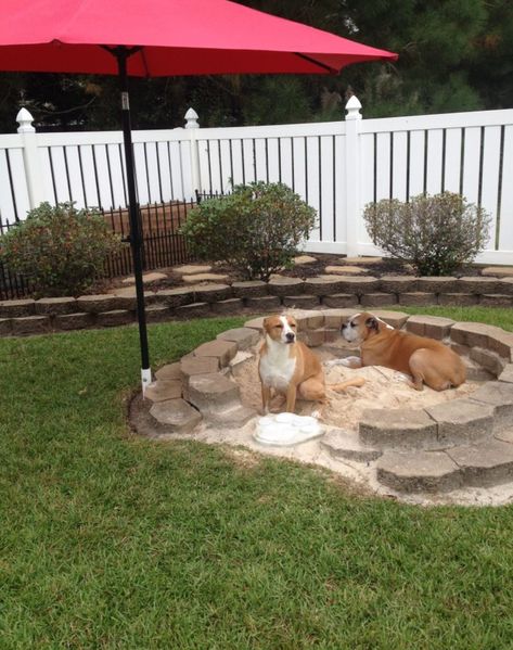 Backyard Ideas For Dogs, Shade For Dogs, Pet Friendly Backyard, Outdoor Dog Area, Backyard Dog Area, Dog Friendly Garden, Dog Friendly Backyard, Dog Backyard, Ideas For Dogs