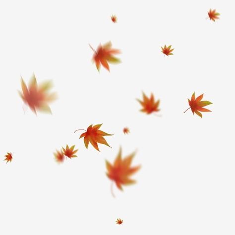 Maple Leaf Falling, Fall Red Leaves, Maple Leaf Clipart, Fall Overlay, Fall Leaves Background, Cover Photo Design, Red Png, Wattpad Background, Silver Maple Leaf