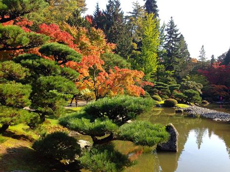 THE 10 BEST Seattle Gardens (with Photos) - Tripadvisor Seattle Japanese Garden, Pet Friendly Vacations, Seattle Travel, Honeymoon Spots, Centennial Park, Washington Park, Most Romantic Places, Mount Rainier National Park, Rainier National Park