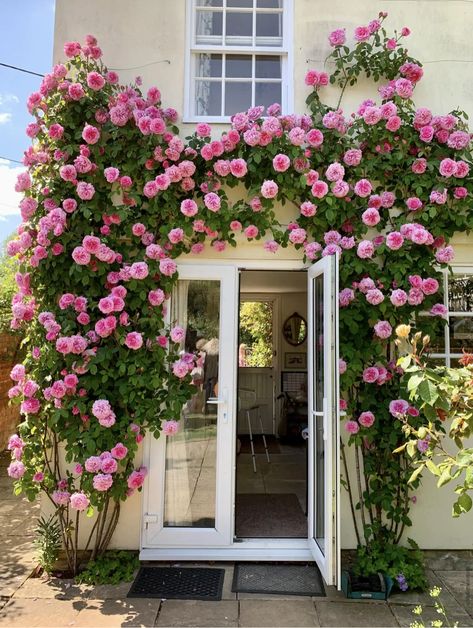 Porch Painting Ideas, Porch Paint Ideas, Painted Ideas, Rose Garden Landscape, Rose Garden Design, Porch Paint, Climbing Flowers, Gardens Ideas, Cottage Gardens