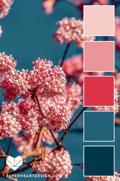 @1969Mauricio Blue Color Palette, Color Schemes Colour Palettes, Color Palette Pink, Color Palate, Blue Colour Palette, Color Palette Design, Paper Heart, Hex Colors, Color Inspo