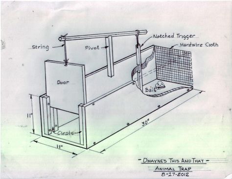 Small Animal Trap Armadillo Trap, Rabbit Traps, Animal Traps, Hunting Diy, Wild Pig, Rat Traps, Wild Hog, Primitive Survival, Trash Containers